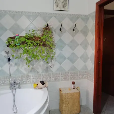 Sa Dommu De Nella *
